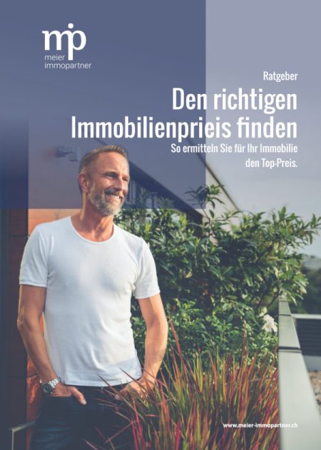 ratgeber-richtiger-immobilienpreis